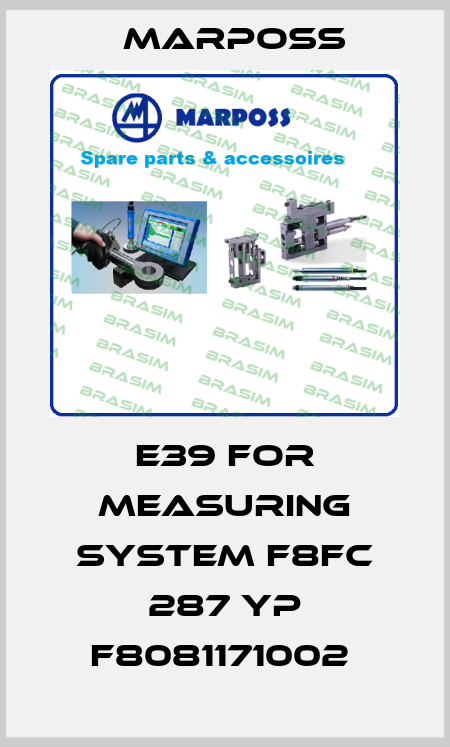 E39 FOR MEASURING SYSTEM F8FC 287 YP F8081171002  Marposs