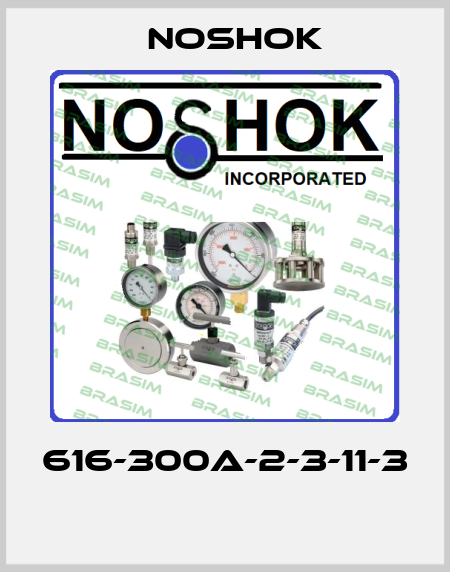 616-300A-2-3-11-3  Noshok