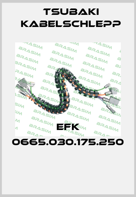 EFK 0665.030.175.250  Tsubaki Kabelschlepp