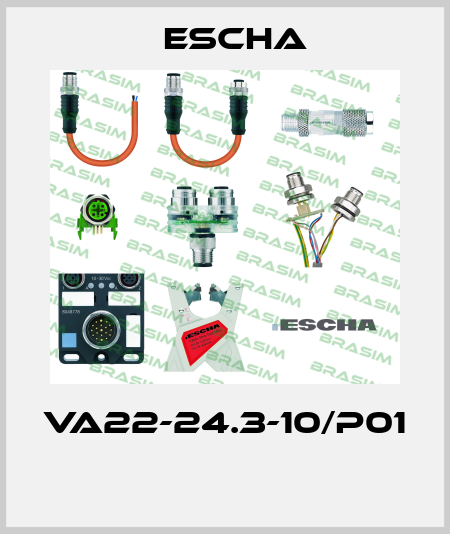 VA22-24.3-10/P01  Escha