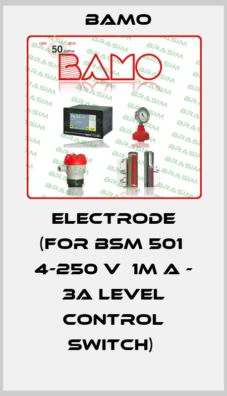 ELECTRODE (FOR BSM 501  4-250 V  1M A - 3A LEVEL CONTROL SWITCH)  Bamo