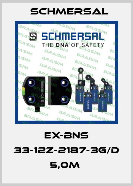 EX-BNS 33-12Z-2187-3G/D 5,0M  Schmersal