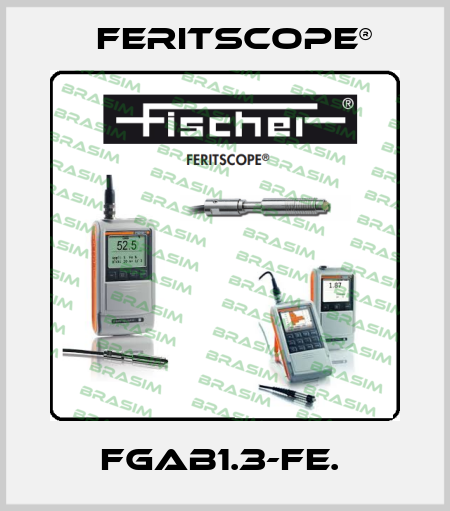FGAB1.3-FE.  Feritscope®