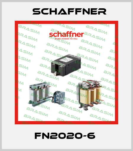 FN2020-6  Schaffner