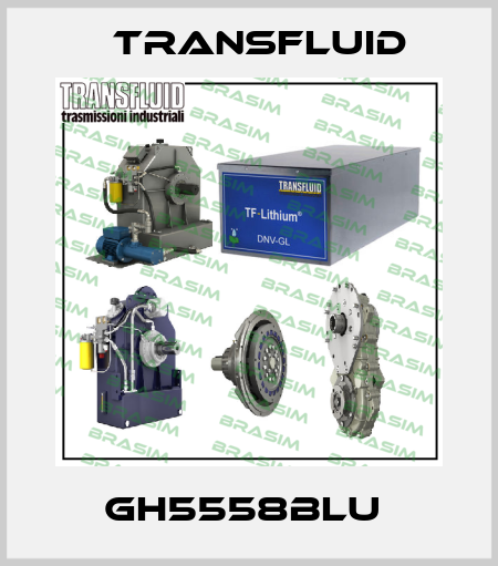 GH5558BLU  Transfluid