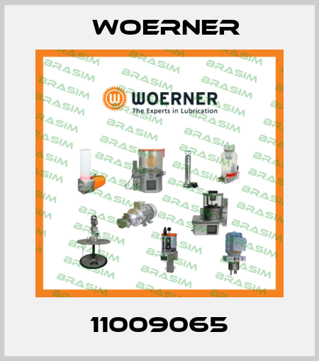11009065 Woerner