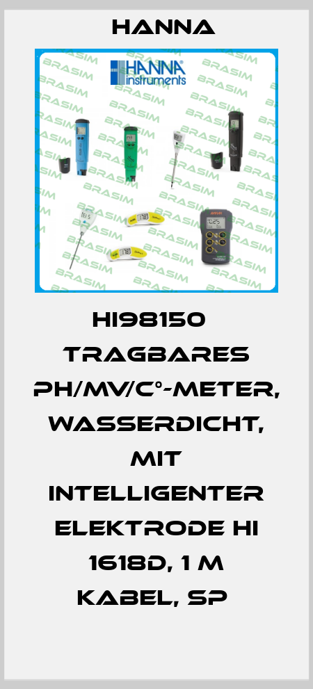 HI98150   TRAGBARES PH/MV/C°-METER, WASSERDICHT, MIT INTELLIGENTER ELEKTRODE HI 1618D, 1 M KABEL, SP  Hanna