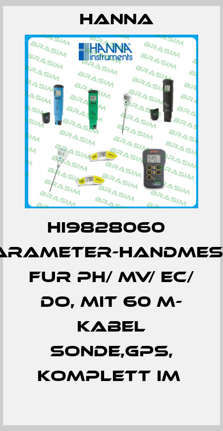 HI9828060   MULTIPARAMETER-HANDMESSGERÄT FUR PH/ MV/ EC/ DO, MIT 60 M- KABEL SONDE,GPS, KOMPLETT IM  Hanna