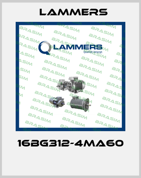 16BG312-4MA60  Lammers