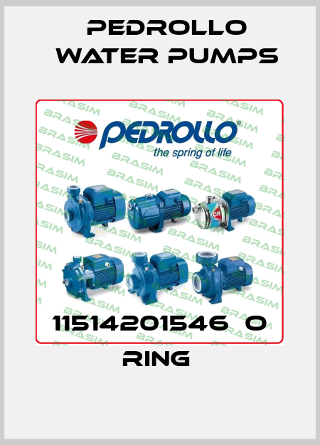 Pedrollo Water Pumps-11514201546  O RING  price