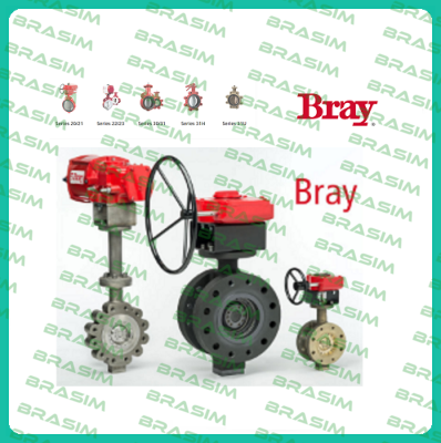 200600-92803561  Bray