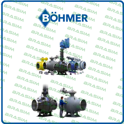 BHG V 315.720-1 DN 020 PN 315  (008.0844)  Böhmer