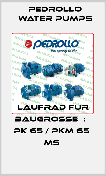 LAUFRAD FUR BAUGROßE  :   PK 65 / PKM 65  MS  Pedrollo Water Pumps