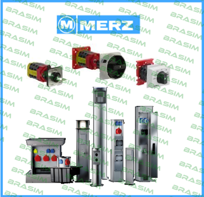 10A300VAC4HP Merz