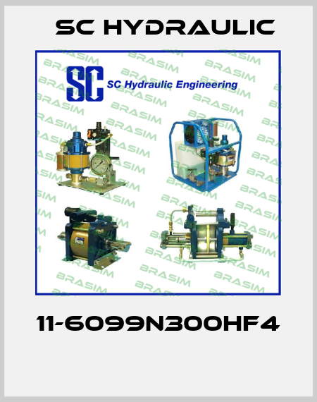 SC hydraulic engineering-11-6099N300HF4  price