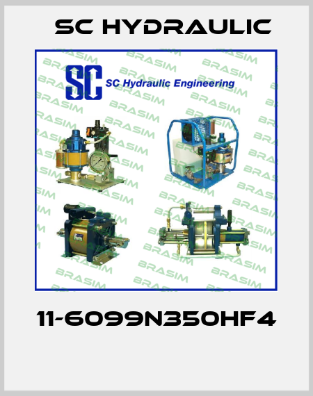 SC hydraulic engineering-11-6099N350HF4  price