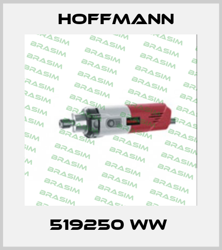 519250 WW  Hoffmann