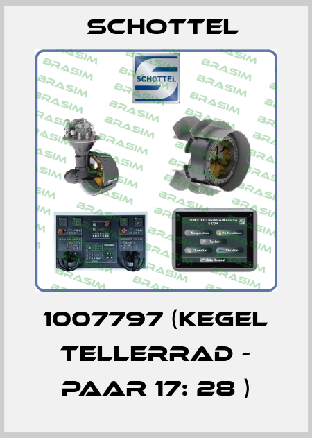 1007797 (Kegel Tellerrad - Paar 17: 28 ) Schottel