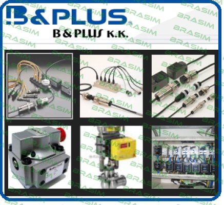 RPE-3008PPU-CP1.0  B & PLUS