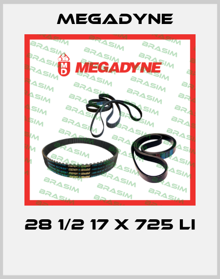 28 1/2 17 X 725 LI   Megadyne