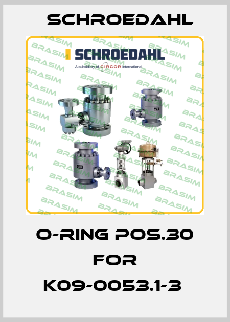 O-ring pos.30 for K09-0053.1-3  Schroedahl