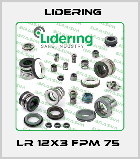 LR 12X3 FPM 75  Lidering