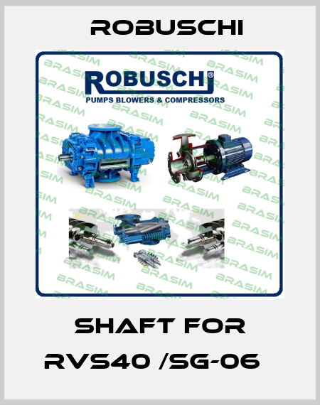 Shaft for RVS40 /SG-06   Robuschi