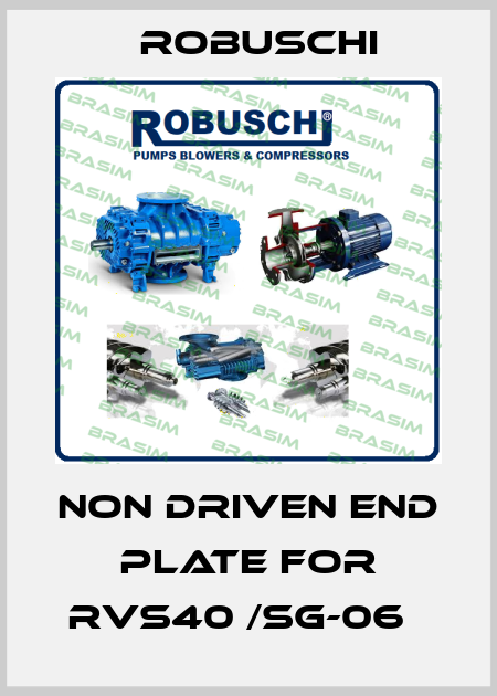 Non driven end plate for RVS40 /SG-06   Robuschi