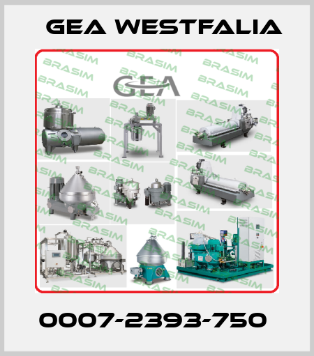 0007-2393-750  Gea Westfalia