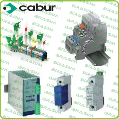 CS8901017 Cabur