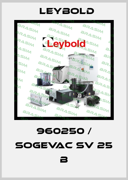 960250 / SOGEVAC SV 25 B Leybold