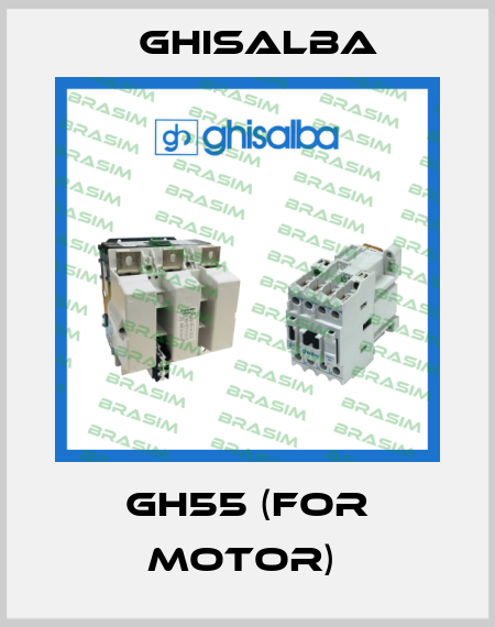 GH55 (for Motor)  Ghisalba