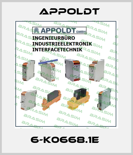 6-K0668.1E  Appoldt