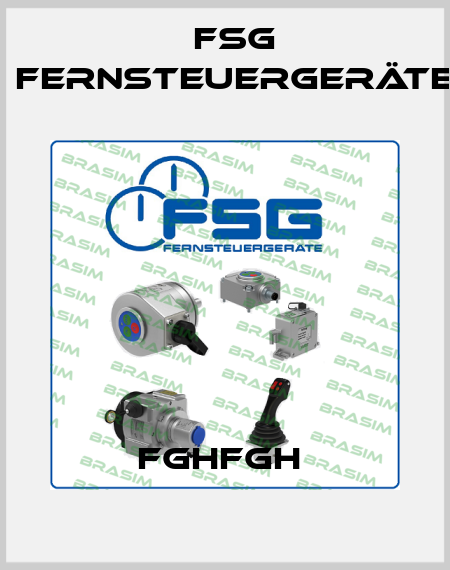 fghfgh  FSG Fernsteuergeräte