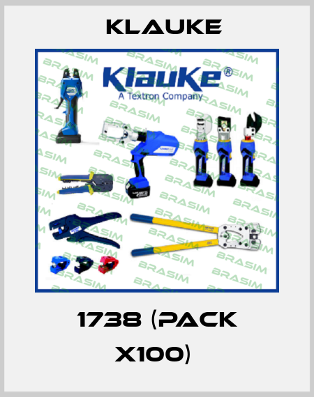 1738 (pack x100)  Klauke