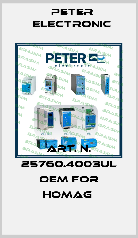 art. n. 25760.4003UL OEM for Homag  Peter Electronic
