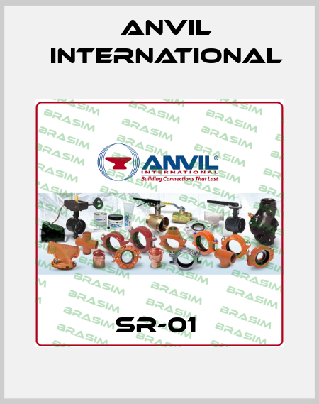 SR-01  Anvil International