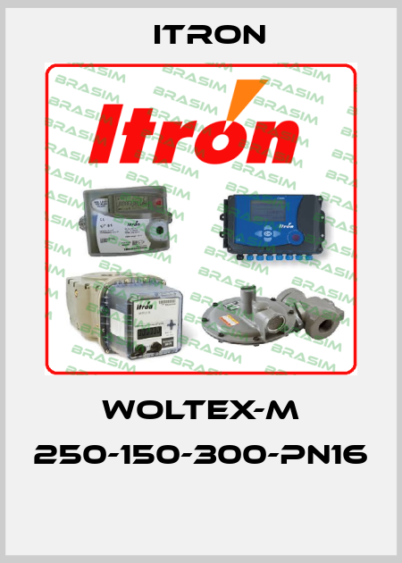 WOLTEX-M 250-150-300-PN16  Itron