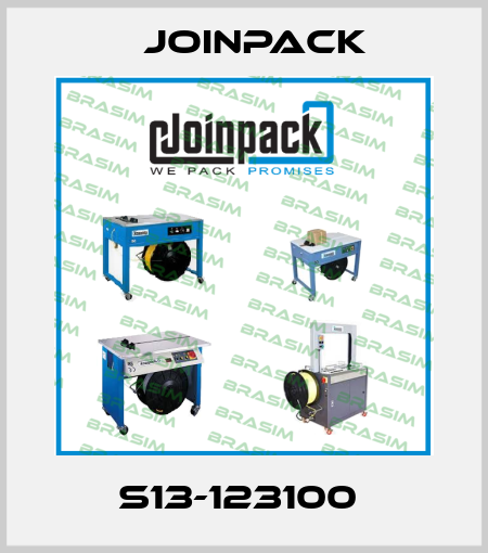 S13-123100  JOINPACK