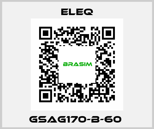 GSAG170-B-60  ELEQ