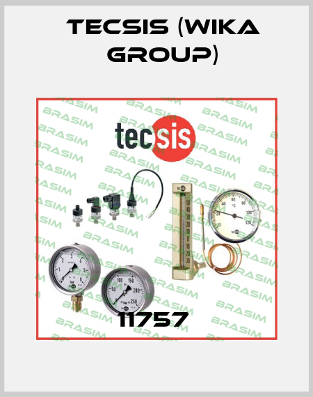 11757  Tecsis (WIKA Group)
