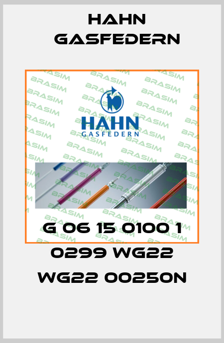 G 06 15 0100 1 0299 WG22 WG22 00250N Hahn Gasfedern