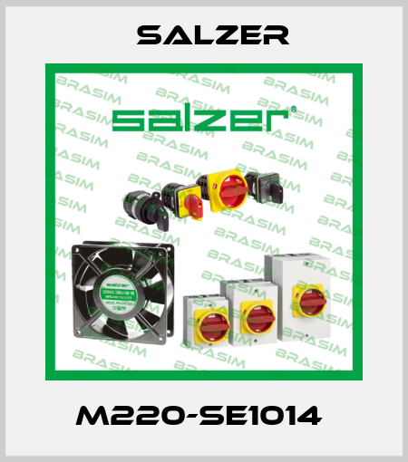 M220-SE1014  Salzer