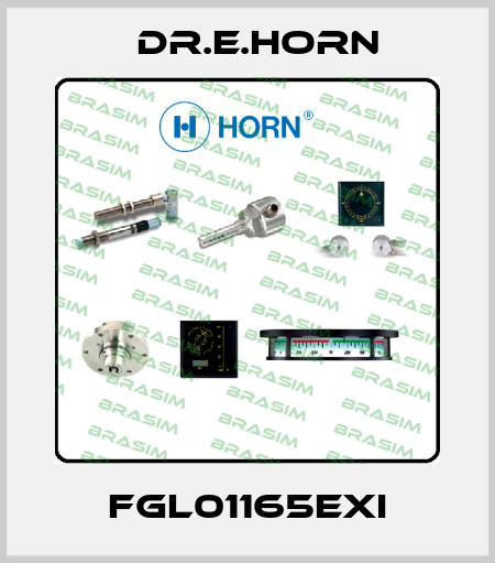 FGL01165Exi Dr.E.Horn