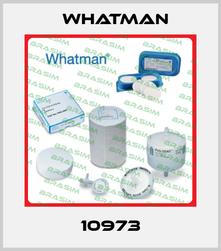 10973 Whatman