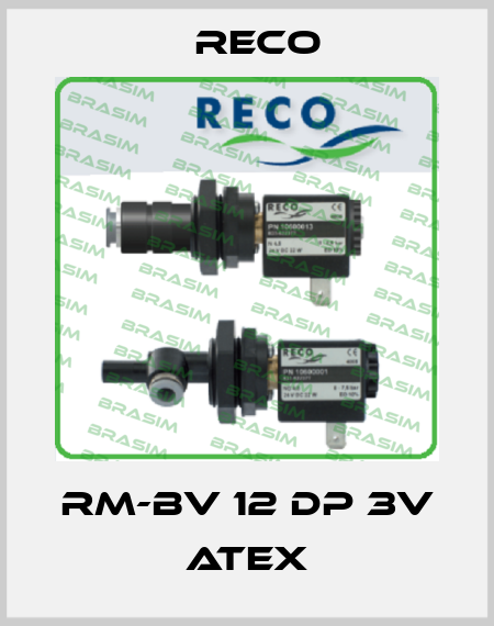 RM-BV 12 DP 3V ATEX Reco