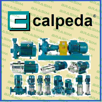 MECHANICAL STEEL FOR (B-NM4-40/200AE S.N.:0607236241 PUMP)  Calpeda