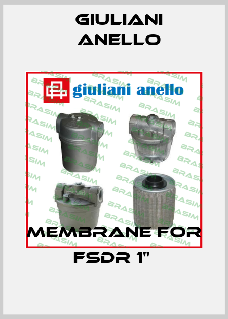 MEMBRANE FOR FSDR 1"  Giuliani Anello