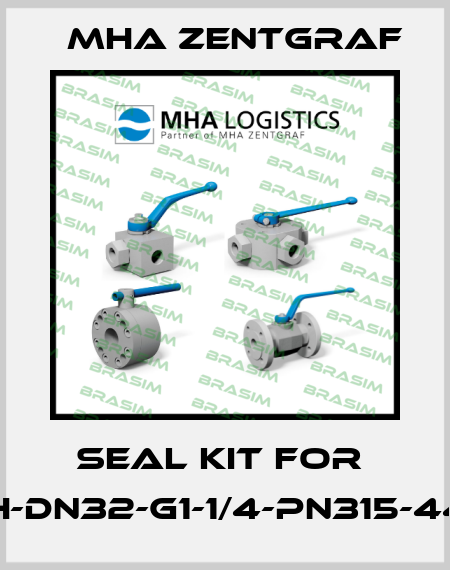 Seal Kit for  MKH-DN32-G1-1/4-PN315-442A Mha Zentgraf