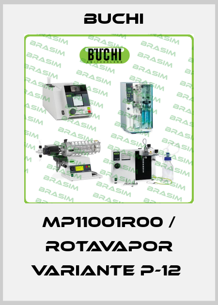 MP11001R00 / Rotavapor Variante P-12  Buchi